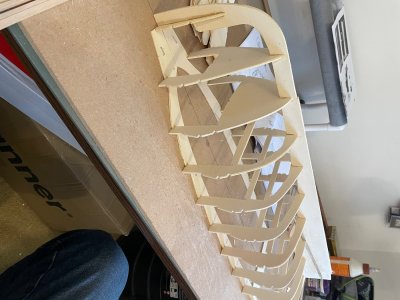 IMG_5175.jpeg IMG_5175.jpeg