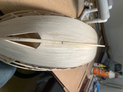 IMG_5186.jpeg IMG_5186.jpeg