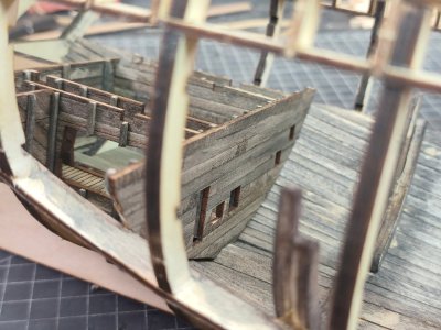 IMG_20251109_183451.jpg IMG_20251109_183451.jpg