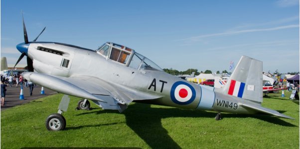 IMG_0619.jpeg IMG_0619.jpeg