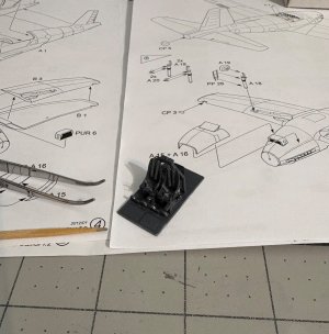 IMG_0651.jpeg IMG_0651.jpeg