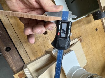 IMG_8613.jpeg IMG_8613.jpeg