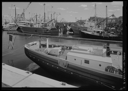 1763064026968.png 1763064026968.png