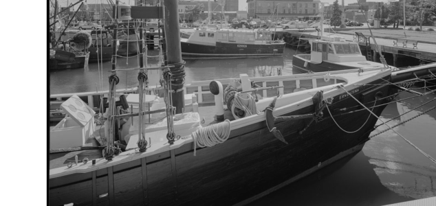 1763120751476.png 1763120751476.png