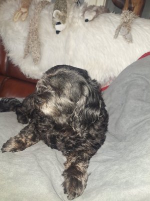 20251013_155208.jpg 20251013_155208.jpg