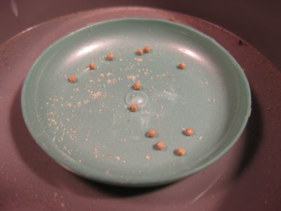 IMG_5610.JPG IMG_5610.JPG