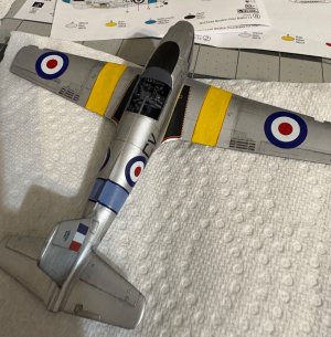 IMG_0687.jpeg IMG_0687.jpeg