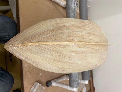 IMG_5217.jpeg IMG_5217.jpeg