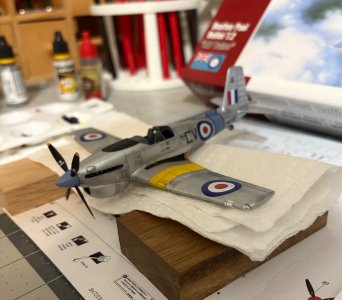 IMG_0694.jpeg IMG_0694.jpeg