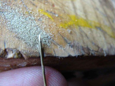 DSC08783.JPG DSC08783.JPG