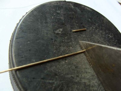 DSC08786 (1).JPG DSC08786 (1).JPG