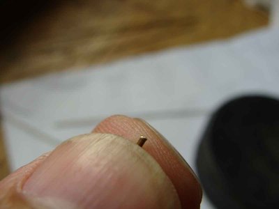 DSC08788.JPG DSC08788.JPG