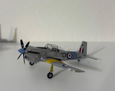 IMG_0703.jpeg IMG_0703.jpeg