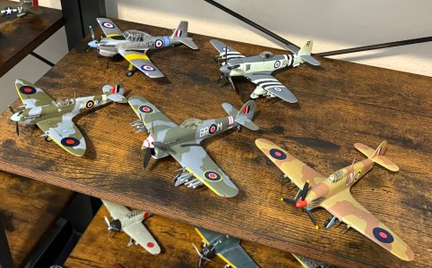 IMG_0719.jpeg IMG_0719.jpeg