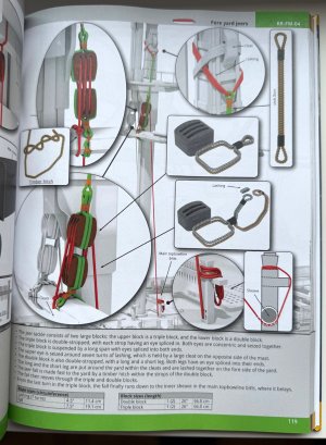 IMG_4041.jpeg IMG_4041.jpeg