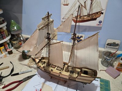 20251116_152909.jpg 20251116_152909.jpg