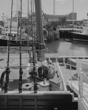 1763516416675.png 1763516416675.png