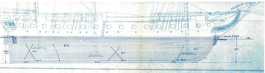 Beagle 13 The Constitution.jpg