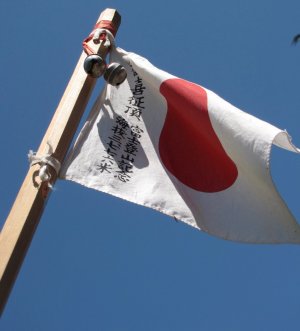 MF stick flag-1 pwdh-1990.jpg