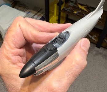 IMG_1033.jpeg IMG_1033.jpeg