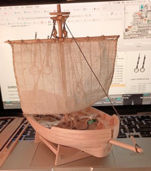 12Jan2025sun sailx10.jpg