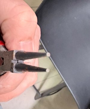 IMG_2941.jpeg IMG_2941.jpeg