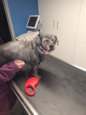 20251203_094753.jpg 20251203_094753.jpg