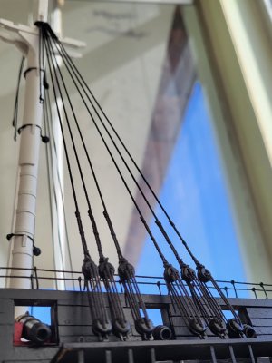 20251203_125234.jpg 20251203_125234.jpg