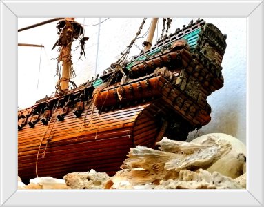 IMG_20240521_201300_edit_39938147804841.jpg IMG_20240521_201300_edit_39938147804841.jpg