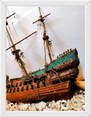 IMG_20240521_200711_edit_41104387852059.jpg IMG_20240521_200711_edit_41104387852059.jpg