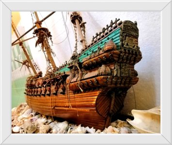 IMG_20240521_200523_edit_40964175473956.jpg IMG_20240521_200523_edit_40964175473956.jpg