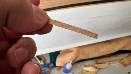 IMG_0185.jpeg IMG_0185.jpeg