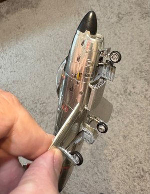 IMG_1169.jpeg IMG_1169.jpeg