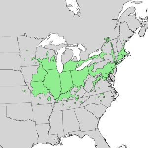 Quercus_bicolor_range_map_1.jpeg Quercus_bicolor_range_map_1.jpeg