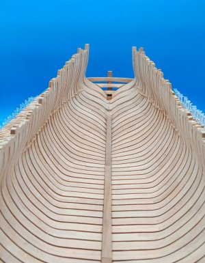 20251209_161029.jpg 20251209_161029.jpg