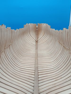 20251209_161217.jpg 20251209_161217.jpg