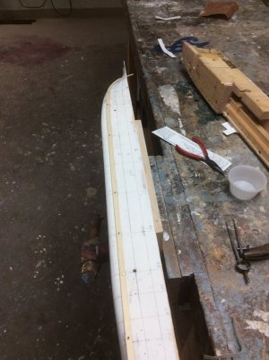 IMG_0659.jpeg IMG_0659.jpeg