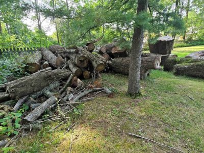 559027260_832994249213083_6963270445377837315_n.jpg 559027260_832994249213083_6963270445377837315_n.jpg