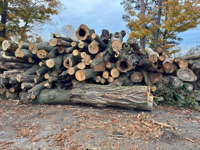 562364322_1256265682921995_7316071700655251047_n.jpg 562364322_1256265682921995_7316071700655251047_n.jpg