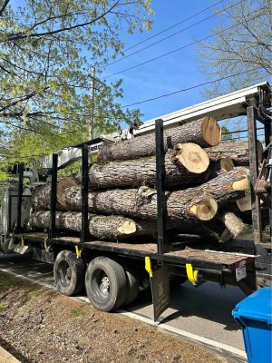 568374057_1527719444919792_5006375731264479409_n.jpg 568374057_1527719444919792_5006375731264479409_n.jpg