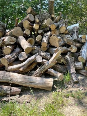 569929008_687735423920445_5416917478872131348_n.jpg 569929008_687735423920445_5416917478872131348_n.jpg