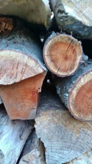 570865478_3126894450823922_7612668361292209121_n.jpg 570865478_3126894450823922_7612668361292209121_n.jpg