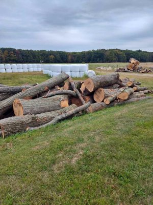 574370001_1346125240515014_3411003358124405535_n.jpg 574370001_1346125240515014_3411003358124405535_n.jpg