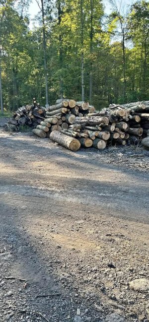 582065777_1396633432009178_7574113403154725314_n.jpg 582065777_1396633432009178_7574113403154725314_n.jpg