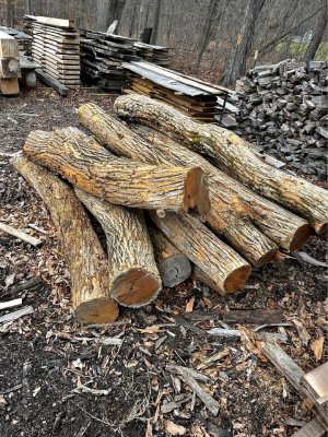 592829306_1082785957187465_5865369853889121579_n.jpg 592829306_1082785957187465_5865369853889121579_n.jpg