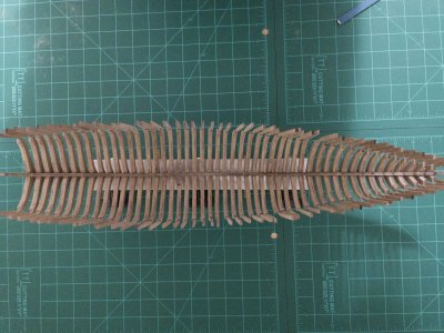 IMG_3654.jpeg IMG_3654.jpeg