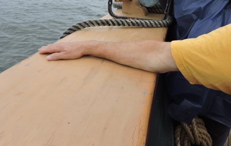 DSCN6878.JPG DSCN6878.JPG