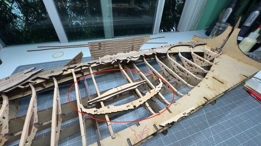 IMG_7603.jpeg IMG_7603.jpeg