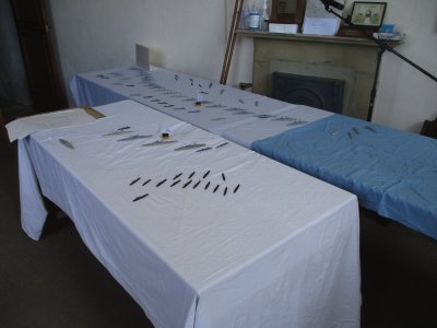 The German High Seas Fleet with the batlecruisers in the foreground.JPG The German High Seas Fleet with the batlecruisers in the foreground.JPG