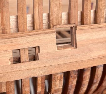 IMG_7289.jpeg IMG_7289.jpeg